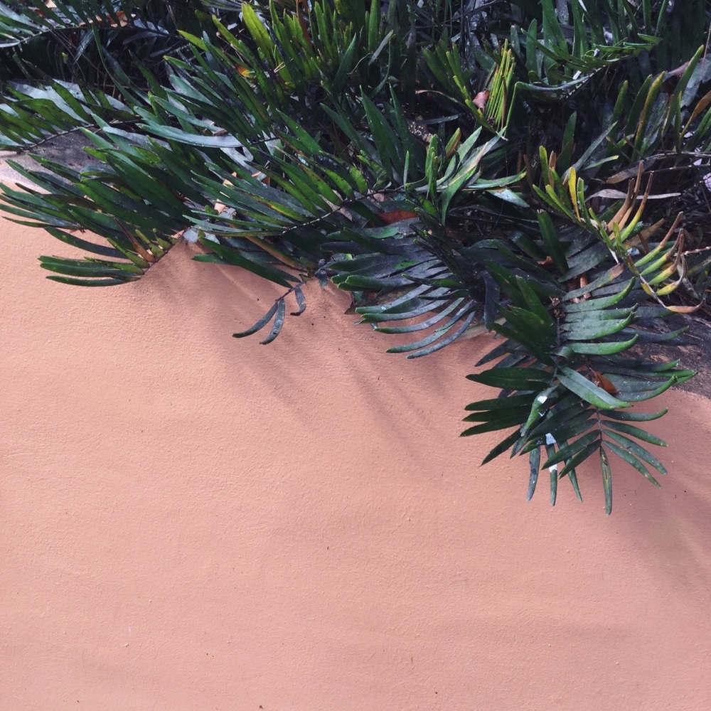 Meet your Posher, Elena